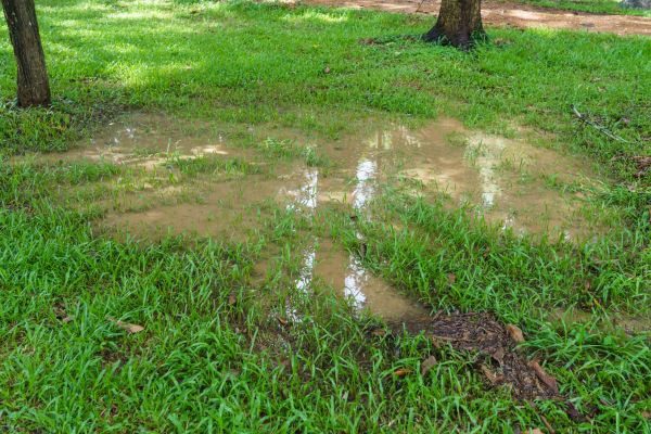 Cost of Storm Water Drainage Service in York