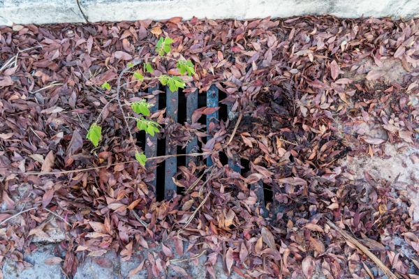 Cost of Yard Drain Unclogging in York