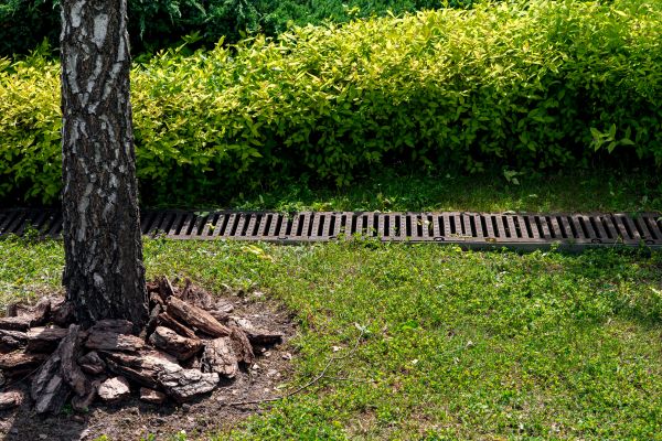 Cost of Wet Yard Drainage in York