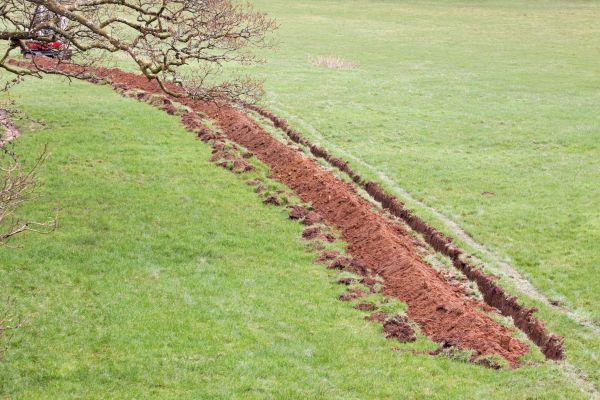 Cost of Swale Installation in York