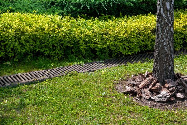 Cost of Residential Landscape Drainage in York