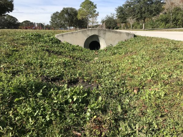 Cost of Swale Drainage Service in York