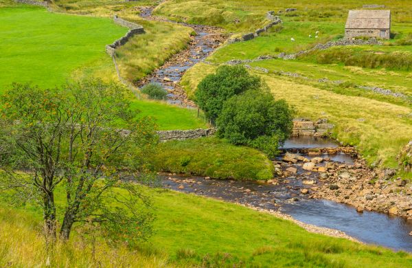 Cost of Swale Repair in York